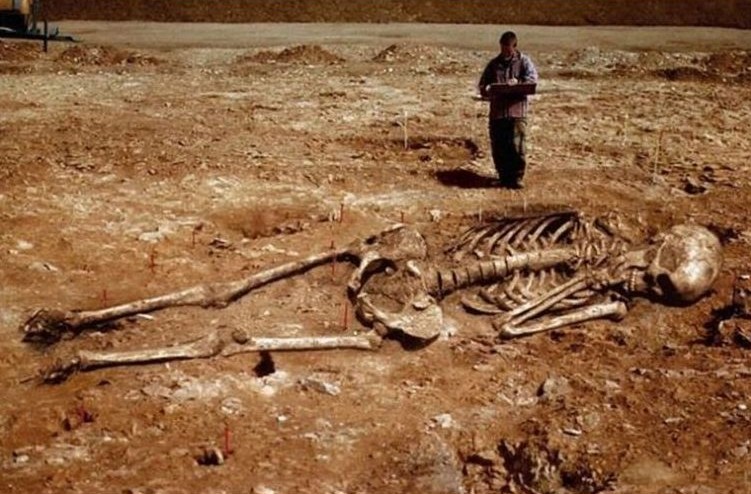 Squelette géant à Mur de Bretagne